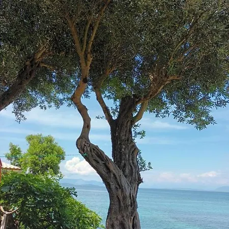 شقة Beachfront Romantica Place Ground Floor Agia Pelagia Chlomou