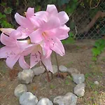 Beachfront Romantica Place Ground Floor * Agia Pelagia Chlomou
