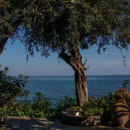 Apartmán Beachfront Romantica Place Ground Floor