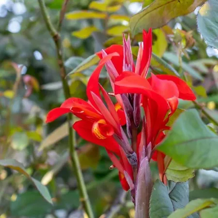 Beachfront Romantica Place Ground Floor Διαμέρισμα