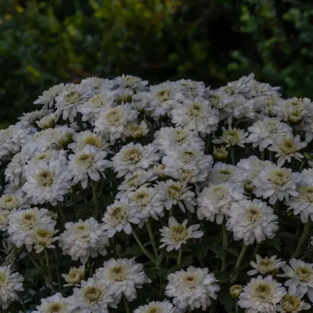 Beachfront Romantica Place Ground Floor Agia Pelagia Chlomou