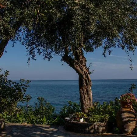 Beachfront Romantica Place Ground Floor アパート Agia Pelagia Chlomou