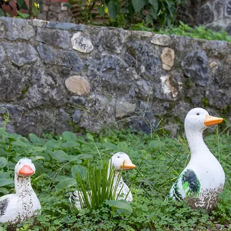 Beachfront Romantica Place Ground Floor *