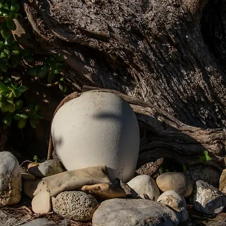 Beachfront Romantica Place Ground Floor Αγία Πελαγία Χλωμού