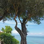 Lägenhet Beachfront Romantica Place Ground Floor Agia Pelagia Chlomou