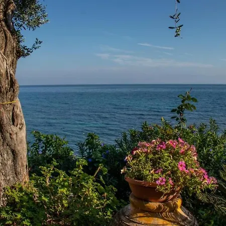 Beachfront Romantica Place Ground Floor Apartament Agia Pelagia Chlomou