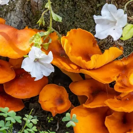 Beachfront Romantica Place Ground Floor Agia Pelagia Chlomou