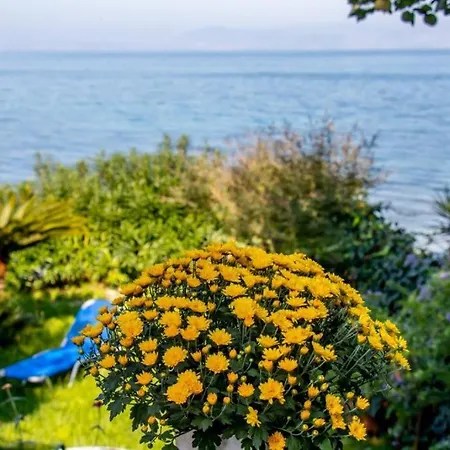 Beachfront Romantica Place Ground Floor Apartament Agia Pelagia Chlomou