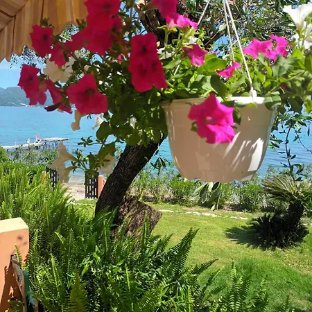 Beachfront Romantica Place Ground Floor
