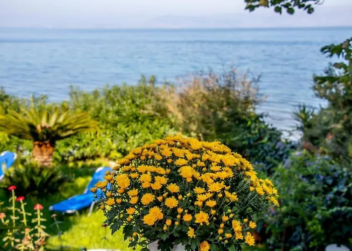 Beachfront Romantica Place Ground Floor شقة Agia Pelagia Chlomou