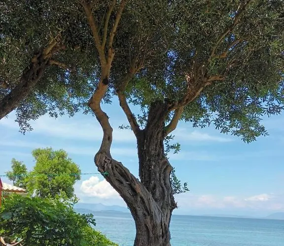 شقة Beachfront Romantica Place Ground Floor Agia Pelagia Chlomou